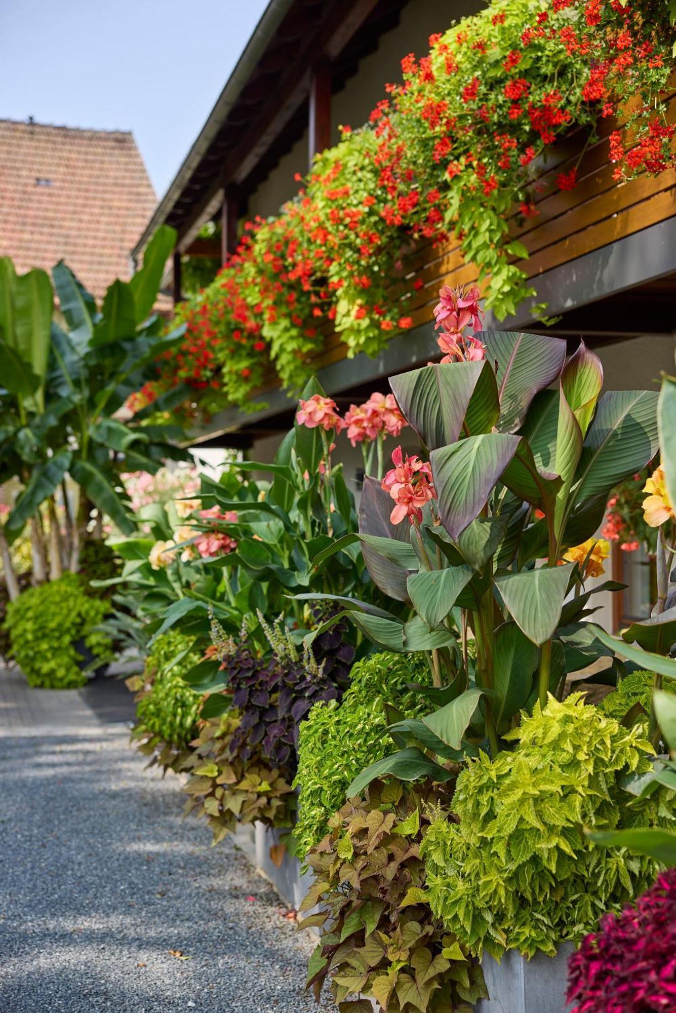 Hotel Garni Sonnenhof Reichenberg  Luaran gambar